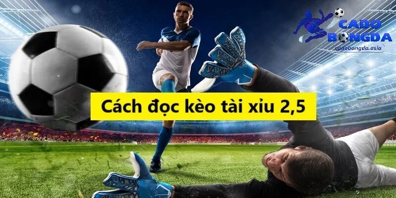 Phân tích chi tiết về kèo tài xỉu 2.5
