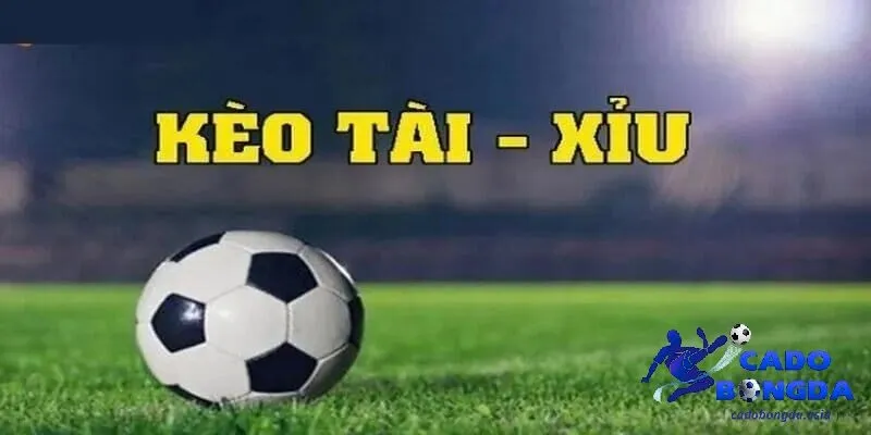 Tổng quan nhận định kèo tài - xỉu hôm nay cho người chơi